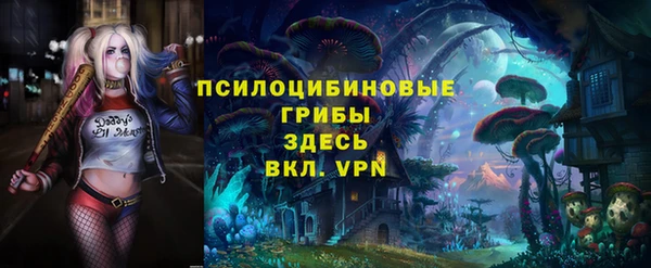 стафф Алексеевка