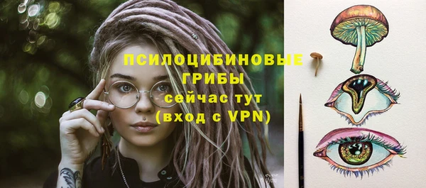 эйфоретик Алексин
