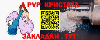 крисы Нальчик