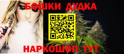 крисы Нальчик