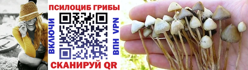 Псилоцибиновые грибы Psilocybine cubensis  Бирск 