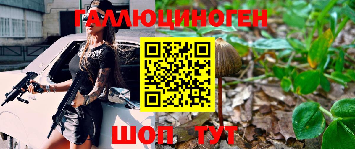 Галлюциногенные грибы прущие грибы Бирск