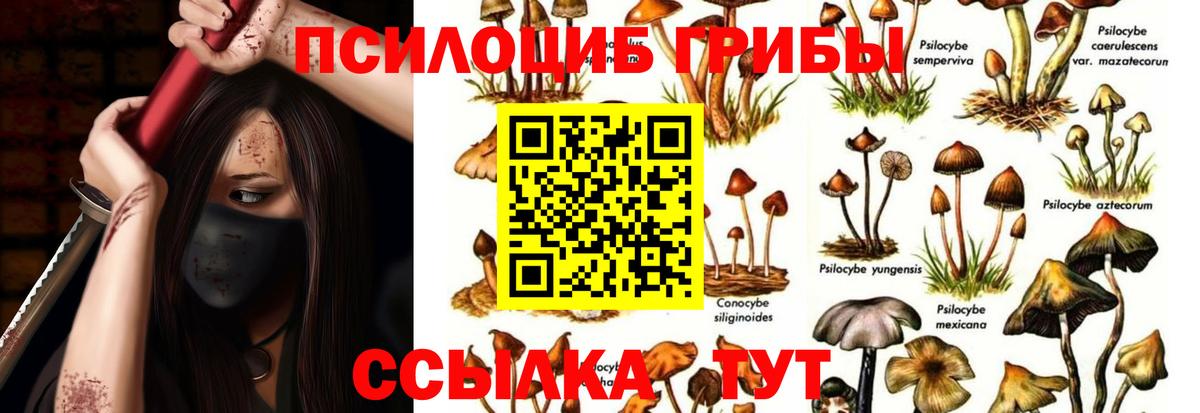 Галлюциногенные грибы Magic Shrooms  Вход с VPN  Псилоцибиновые грибы Cubensis  Бирск 